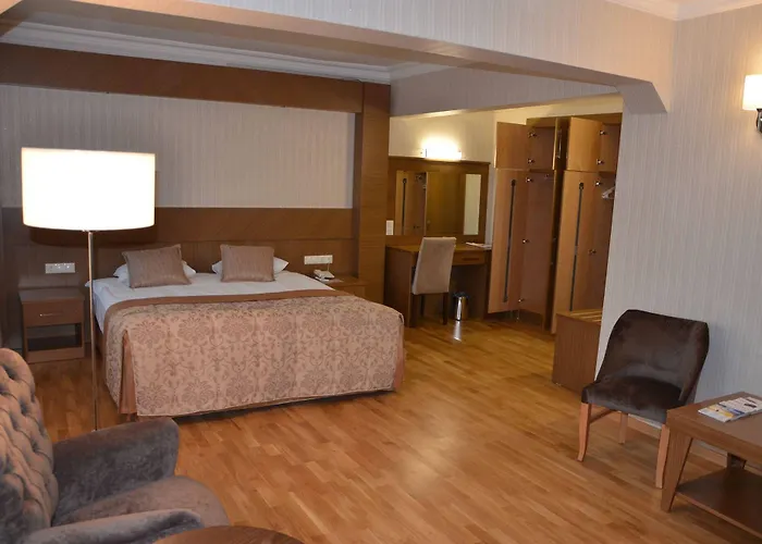 Otel Patalya Thermal 3*