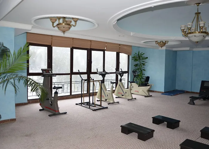 Patalya Thermal Otel 3*